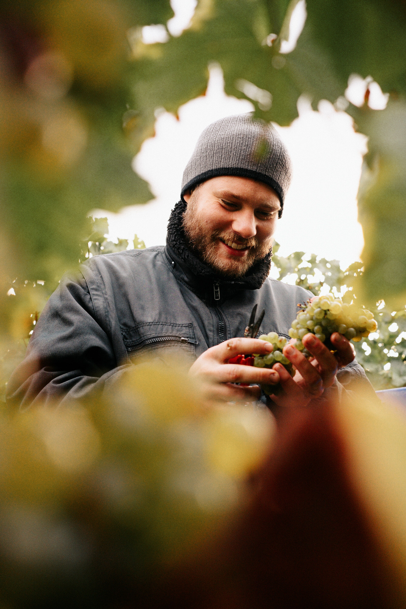 HolzWeisbrodt_Handlese_28092024-29